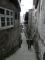 P1010141.JPG