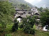 IMG_4301.JPG