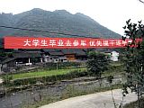 IMG_4310.JPG