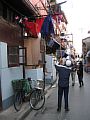 IMG_4349.JPG