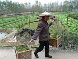 P1010550.JPG